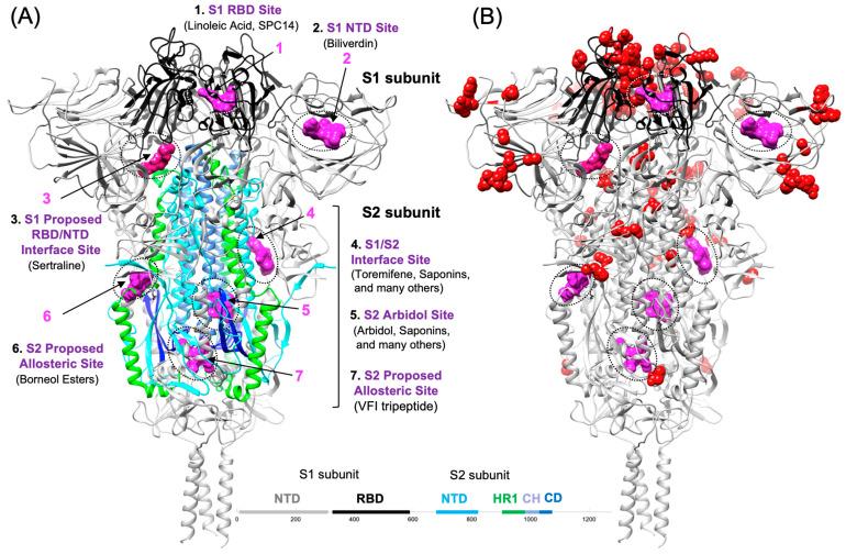 https://cdn.ncbi.nlm.nih.gov/pmc/blobs/7159/11125925/e365489efd33/viruses-16-00712-g002.jpg