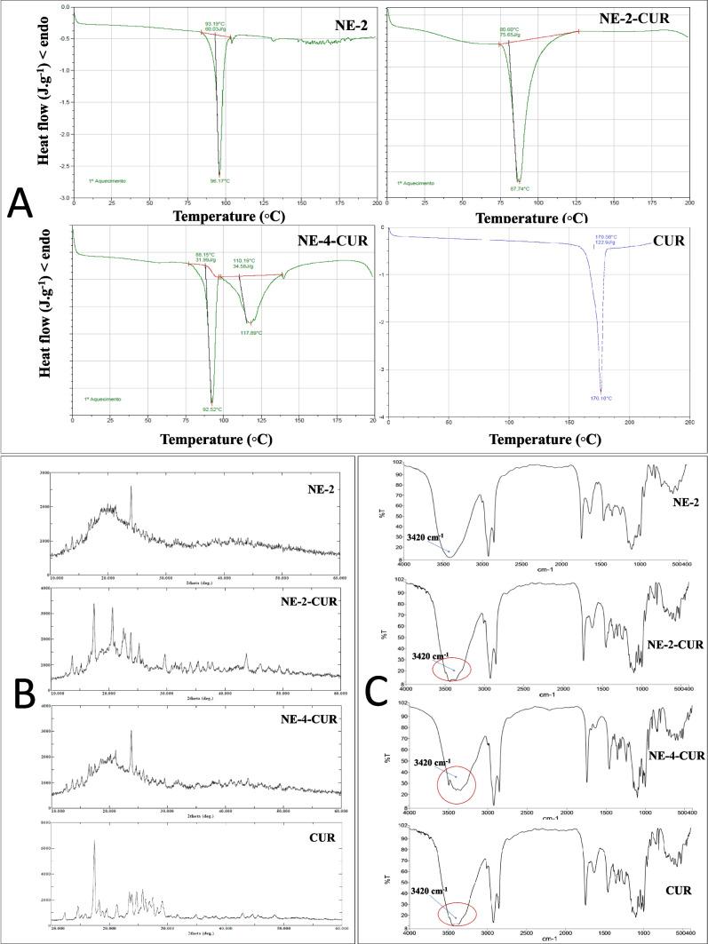 https://cdn.ncbi.nlm.nih.gov/pmc/blobs/7167/10899360/4228b5acb7bf/253_2024_13057_Fig4_HTML.jpg