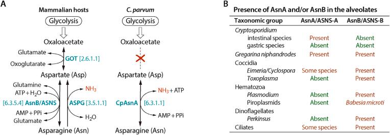 https://cdn.ncbi.nlm.nih.gov/pmc/blobs/7169/12174568/5cd81477aad9/gr1.jpg