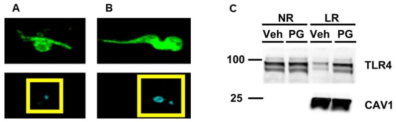 https://cdn.ncbi.nlm.nih.gov/pmc/blobs/7170/11357207/6002a3bde563/microorganisms-12-01730-g001.jpg