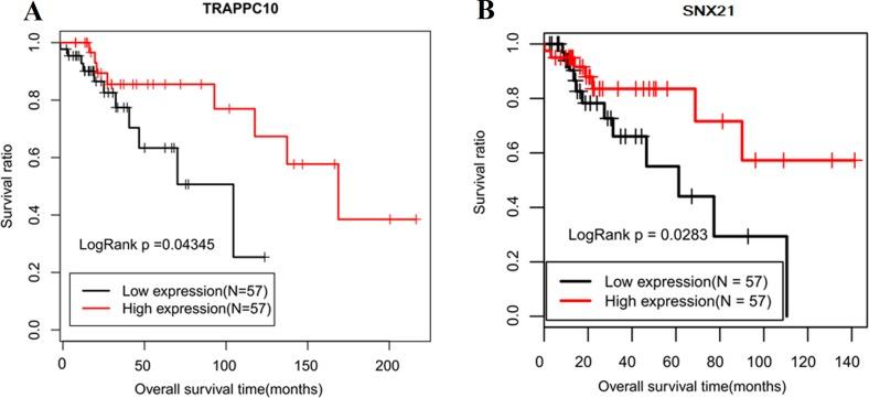 https://cdn.ncbi.nlm.nih.gov/pmc/blobs/7179/6743450/c6d2f063de39/peerj-07-7456-g006.jpg
