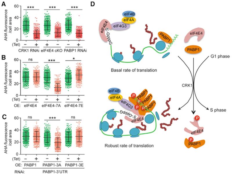 https://cdn.ncbi.nlm.nih.gov/pmc/blobs/718b/6350937/0715217eb358/nihms-1517196-f0008.jpg