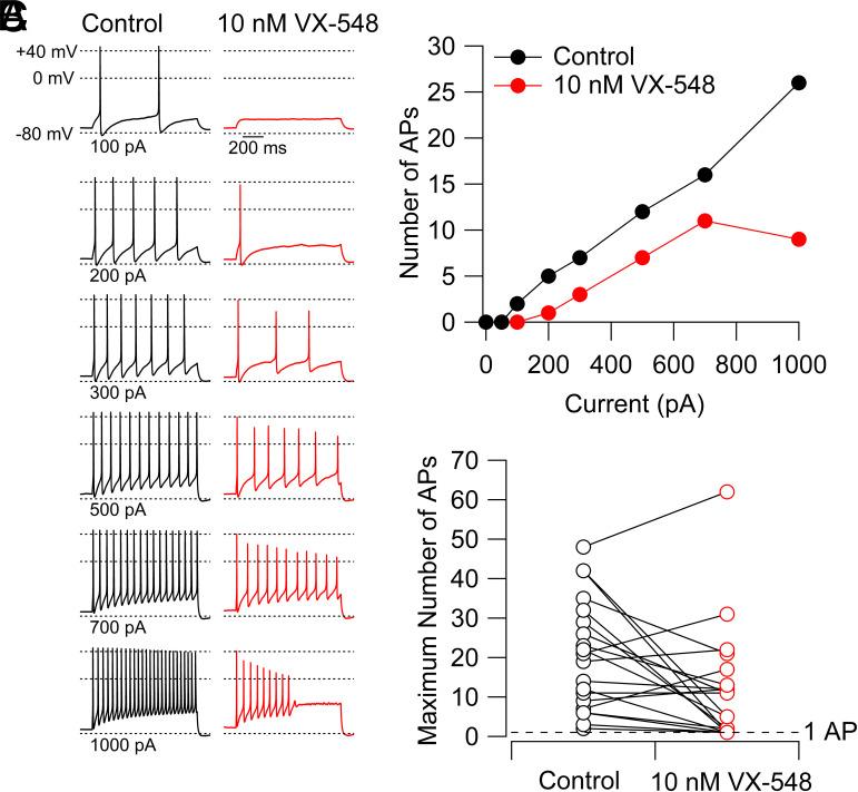 https://cdn.ncbi.nlm.nih.gov/pmc/blobs/7190/12146708/609838e2f2a2/pnas.2503570122fig04.jpg