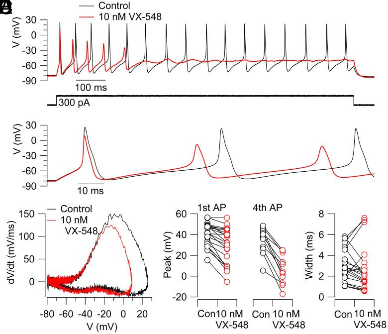 https://cdn.ncbi.nlm.nih.gov/pmc/blobs/7190/12146708/854f5d915aee/pnas.2503570122fig03.jpg
