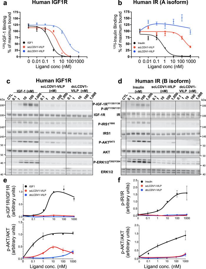 https://cdn.ncbi.nlm.nih.gov/pmc/blobs/7192/9637144/bd90b083c714/41467_2022_34391_Fig2_HTML.jpg