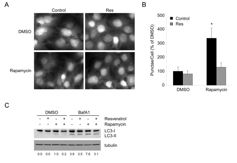 https://cdn.ncbi.nlm.nih.gov/pmc/blobs/71ab/2806030/857be2b8290f/aging-01-515-g002.jpg
