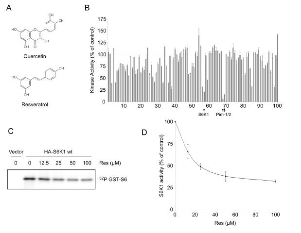 https://cdn.ncbi.nlm.nih.gov/pmc/blobs/71ab/2806030/e5819f132b0f/aging-01-515-g004.jpg