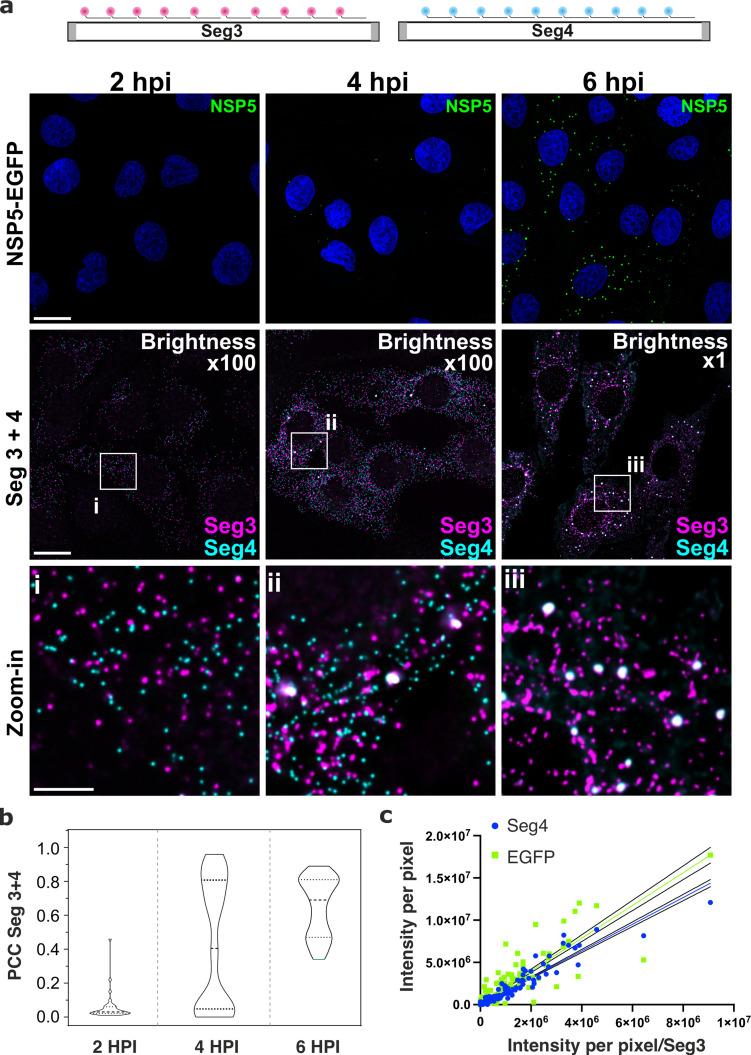 https://cdn.ncbi.nlm.nih.gov/pmc/blobs/71bd/9925054/527dfa41ebbc/elife-68670-fig2.jpg