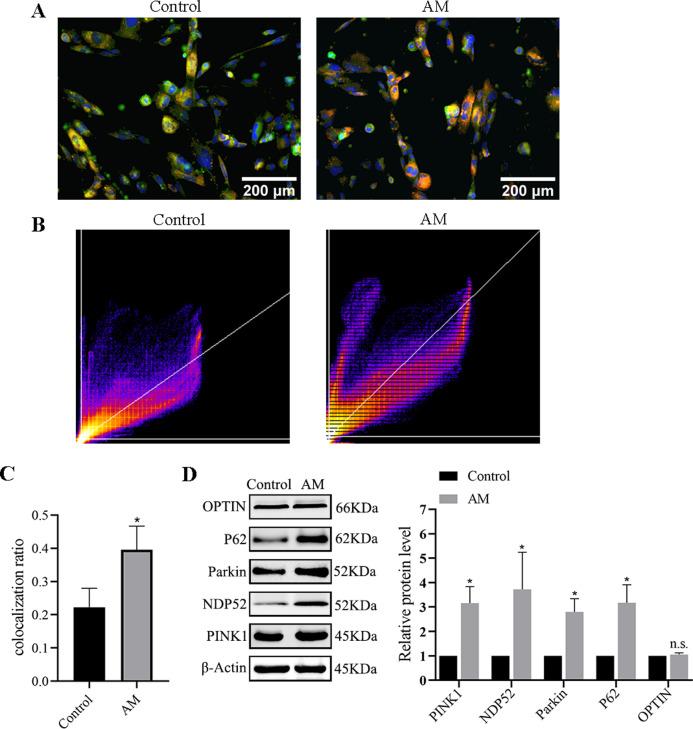 https://cdn.ncbi.nlm.nih.gov/pmc/blobs/71c1/10693823/61f25b14ab82/peerj-11-16497-g006.jpg