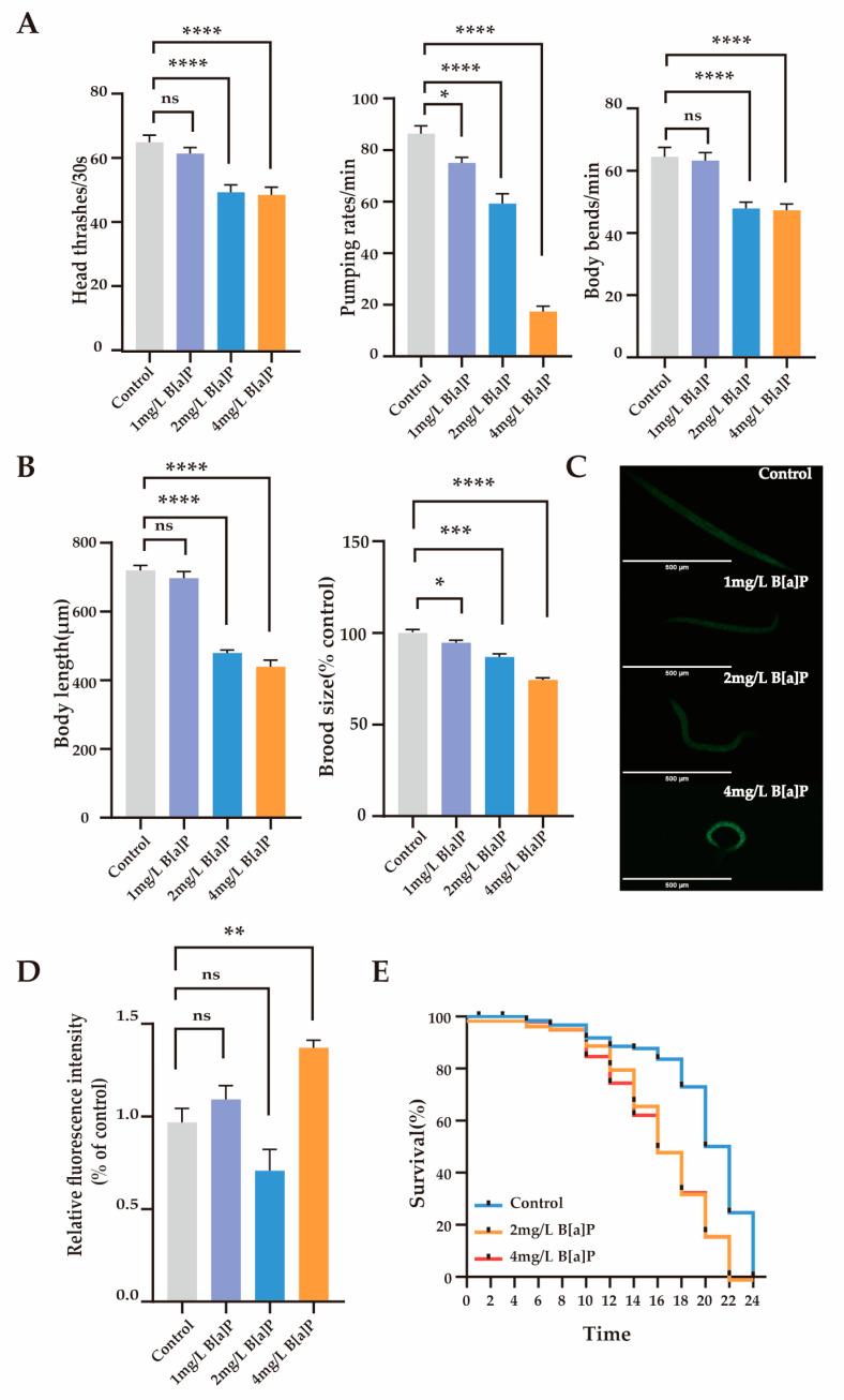 https://cdn.ncbi.nlm.nih.gov/pmc/blobs/71d4/12115400/23b88778903e/toxics-13-00384-g001.jpg