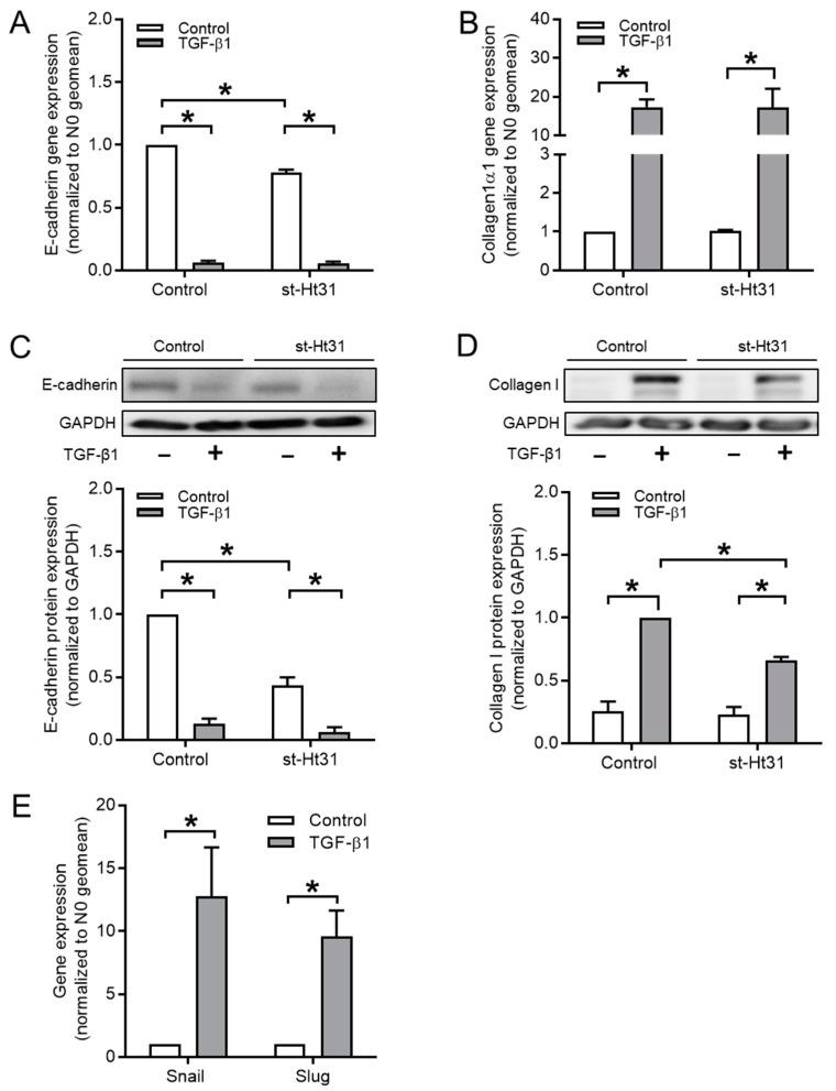 https://cdn.ncbi.nlm.nih.gov/pmc/blobs/71dc/7072527/31f589291974/cells-09-00356-g002.jpg