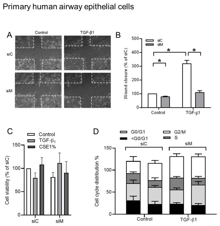 https://cdn.ncbi.nlm.nih.gov/pmc/blobs/71dc/7072527/c04f95286ba7/cells-09-00356-g009.jpg