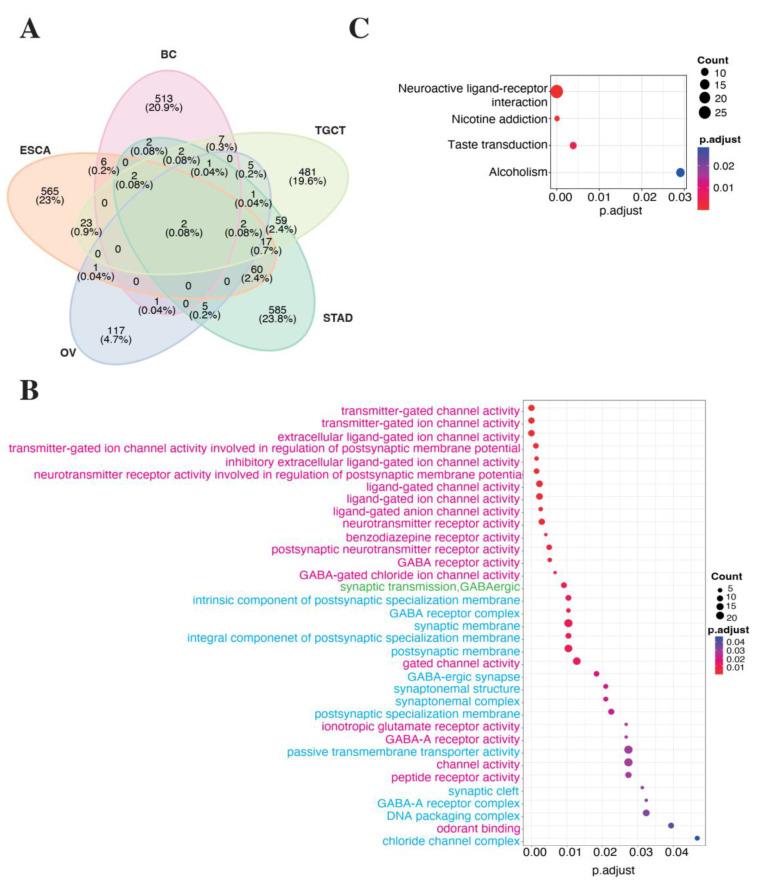 https://cdn.ncbi.nlm.nih.gov/pmc/blobs/71f1/9738797/a9e12f5c53a8/cancers-14-05980-g002.jpg