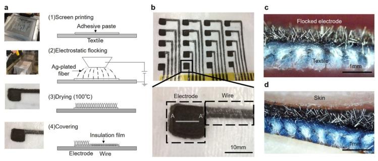 https://cdn.ncbi.nlm.nih.gov/pmc/blobs/7200/8470234/8de3faedd838/sensors-21-06042-g002.jpg