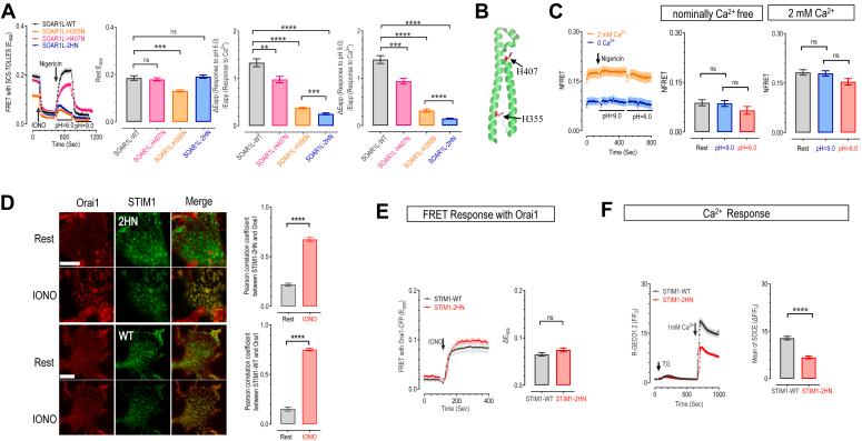 https://cdn.ncbi.nlm.nih.gov/pmc/blobs/7221/11626807/dea34267aaa6/gr3.jpg