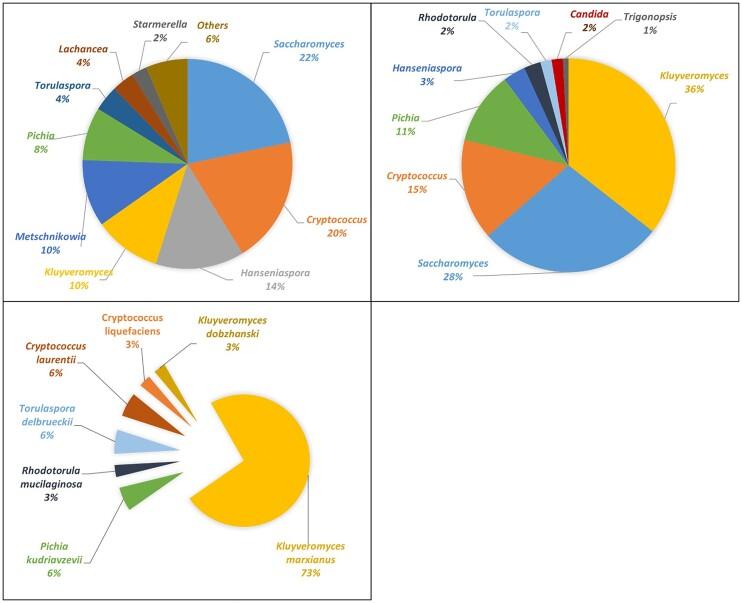 https://cdn.ncbi.nlm.nih.gov/pmc/blobs/7225/11781195/3f8d1fbf097d/foae033fig1.jpg