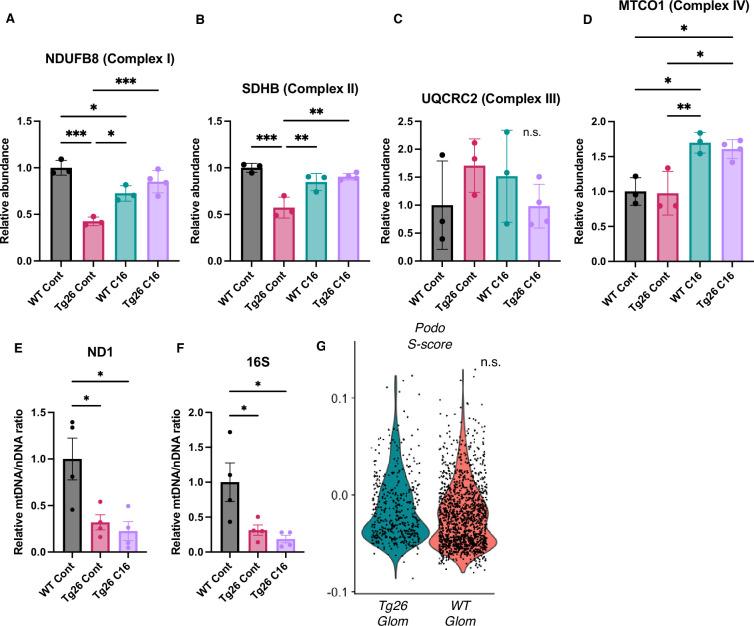 https://cdn.ncbi.nlm.nih.gov/pmc/blobs/723b/11361708/493abb4fea05/elife-91260-fig3-figsupp1.jpg