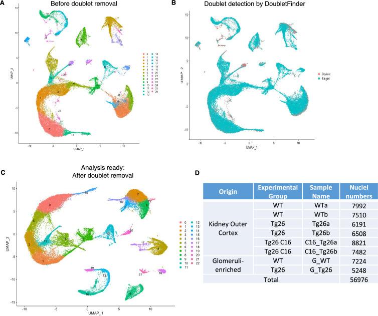 https://cdn.ncbi.nlm.nih.gov/pmc/blobs/723b/11361708/7758edcf1ae6/elife-91260-fig2-figsupp1.jpg