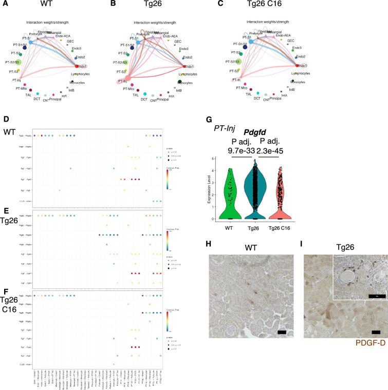 https://cdn.ncbi.nlm.nih.gov/pmc/blobs/723b/11361708/9607621b1af6/elife-91260-fig8.jpg