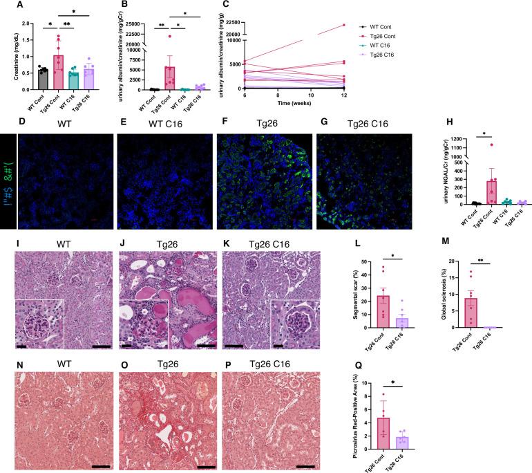 https://cdn.ncbi.nlm.nih.gov/pmc/blobs/723b/11361708/9aeab4155a31/elife-91260-fig1.jpg