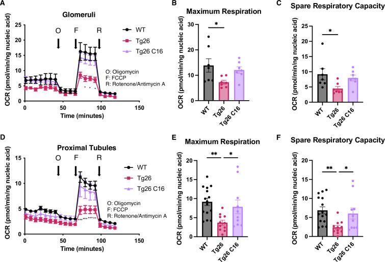 https://cdn.ncbi.nlm.nih.gov/pmc/blobs/723b/11361708/b29dc87cd522/elife-91260-fig6.jpg