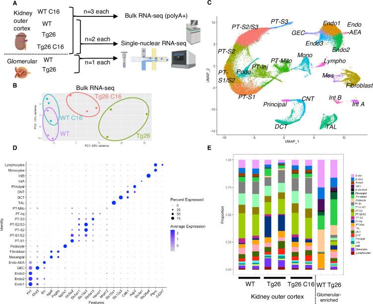 https://cdn.ncbi.nlm.nih.gov/pmc/blobs/723b/11361708/bd09e7c7e89e/elife-91260-fig2.jpg