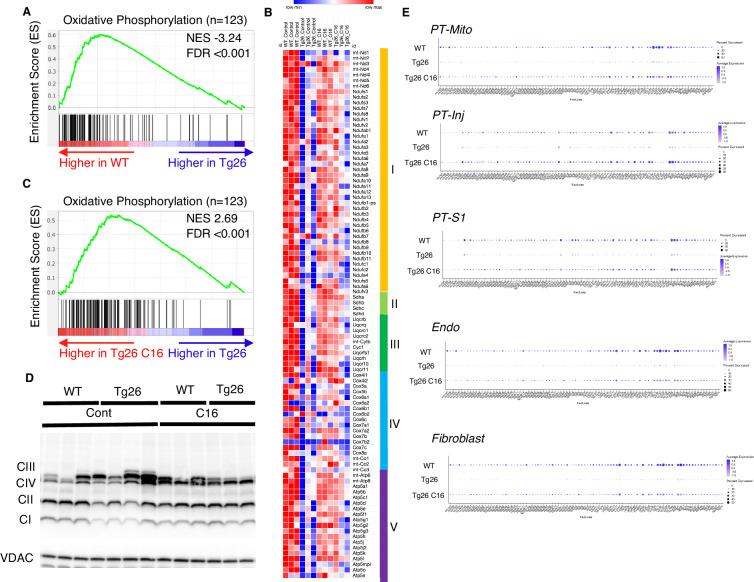https://cdn.ncbi.nlm.nih.gov/pmc/blobs/723b/11361708/f1ee62730e11/elife-91260-fig3.jpg