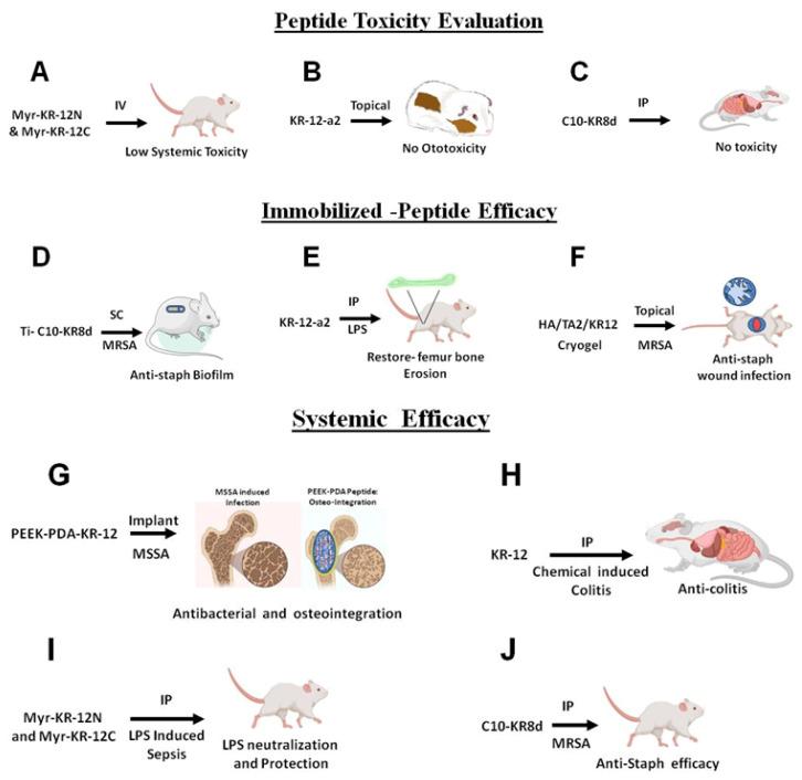 https://cdn.ncbi.nlm.nih.gov/pmc/blobs/7244/11429261/8218cafe50ac/antibiotics-13-00816-g008.jpg
