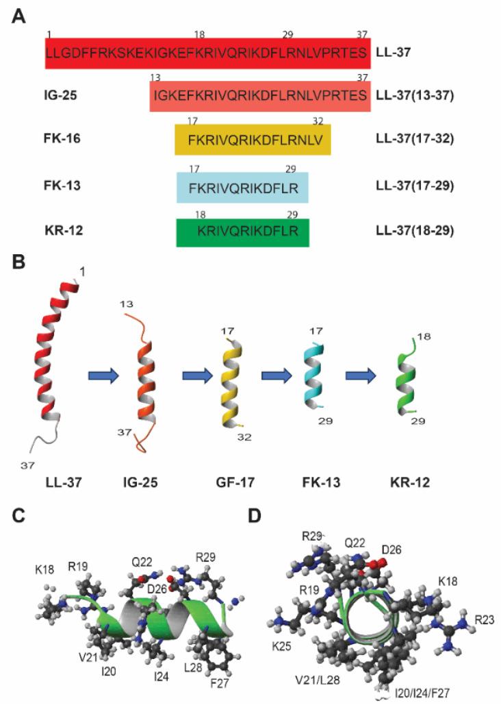 https://cdn.ncbi.nlm.nih.gov/pmc/blobs/7244/11429261/f4252e660e87/antibiotics-13-00816-g003.jpg