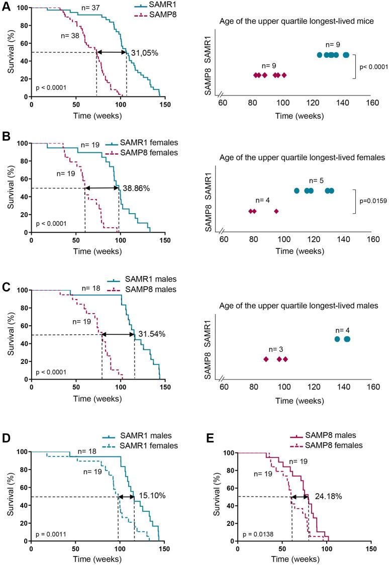 https://cdn.ncbi.nlm.nih.gov/pmc/blobs/7246/10292900/a2ee424056b6/aging-15-204731-g001.jpg