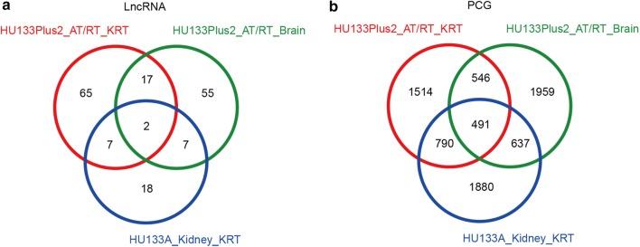 https://cdn.ncbi.nlm.nih.gov/pmc/blobs/7248/6245545/dffde3fd73e0/12935_2018_681_Fig4_HTML.jpg