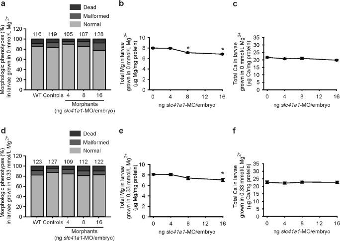 https://cdn.ncbi.nlm.nih.gov/pmc/blobs/7252/6533229/92e724e85c3e/424_2018_2234_Fig4_HTML.jpg