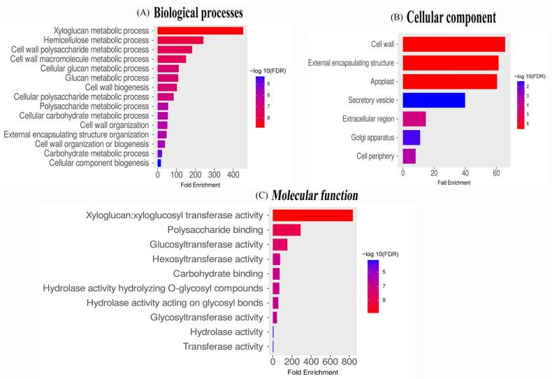 https://cdn.ncbi.nlm.nih.gov/pmc/blobs/7269/11677919/461f133dda6b/plants-13-03503-g005.jpg