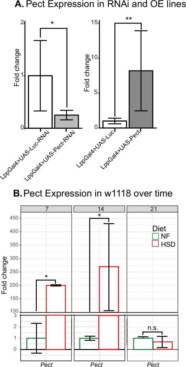 https://cdn.ncbi.nlm.nih.gov/pmc/blobs/728b/9566863/2a1cc032b958/elife-80282-fig6-figsupp1.jpg
