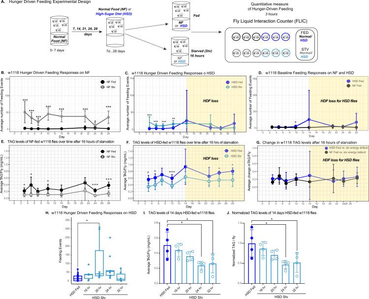 https://cdn.ncbi.nlm.nih.gov/pmc/blobs/728b/9566863/3275c1909515/elife-80282-fig1.jpg