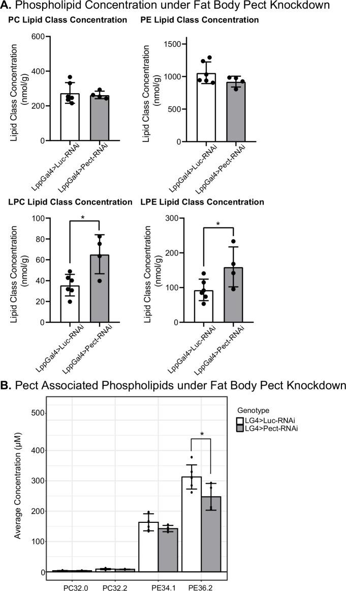 https://cdn.ncbi.nlm.nih.gov/pmc/blobs/728b/9566863/a3cf57132408/elife-80282-fig6.jpg