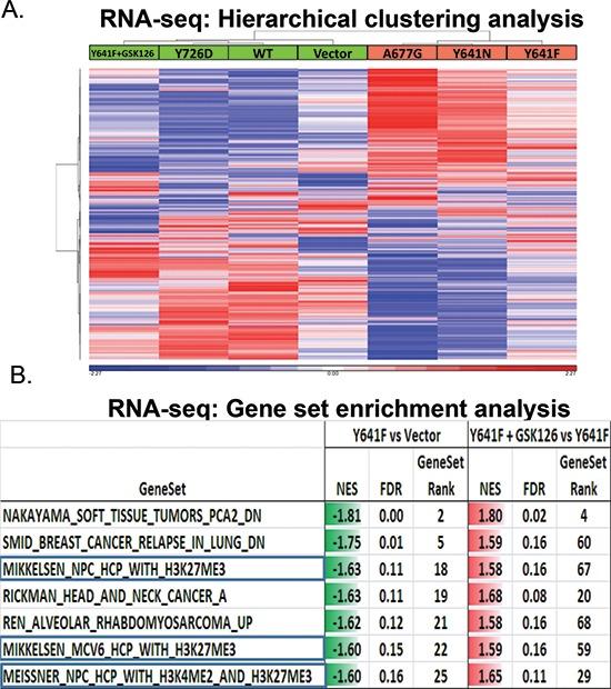 https://cdn.ncbi.nlm.nih.gov/pmc/blobs/7292/4413628/eaad7d023418/oncotarget-06-2928-g004.jpg