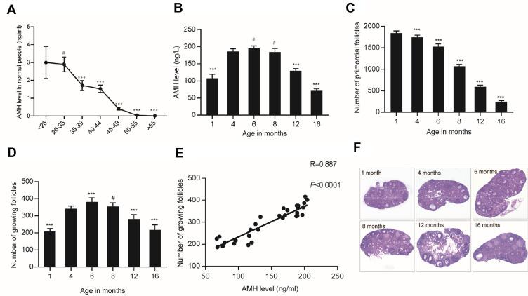 https://cdn.ncbi.nlm.nih.gov/pmc/blobs/729a/7494398/1b1100268e3f/CMAR-12-8171-g0002.jpg