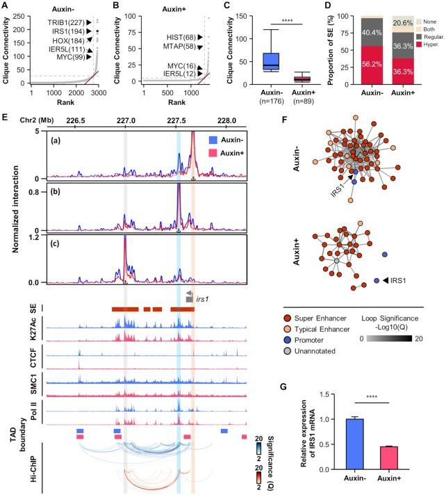 https://cdn.ncbi.nlm.nih.gov/pmc/blobs/729e/8855298/57703dfea0d1/gkab1242fig3.jpg