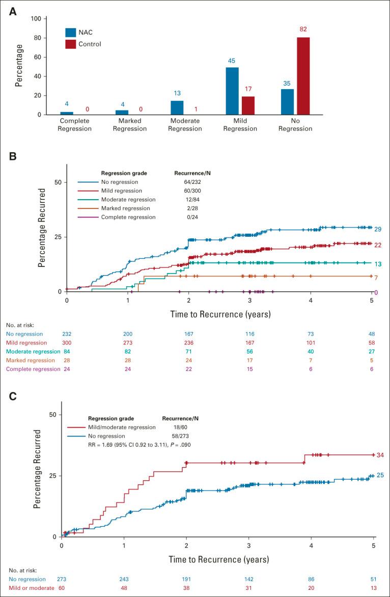 https://cdn.ncbi.nlm.nih.gov/pmc/blobs/72ab/10022855/db31b4390542/jco-41-1541-g003.jpg