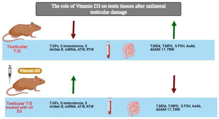 https://cdn.ncbi.nlm.nih.gov/pmc/blobs/72b4/8703569/aad196273517/pharmaceuticals-14-01222-g007.jpg