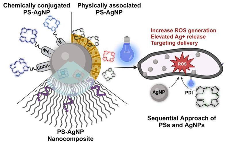 https://cdn.ncbi.nlm.nih.gov/pmc/blobs/72b6/11819709/37f13aa08718/molecules-30-00626-g002.jpg