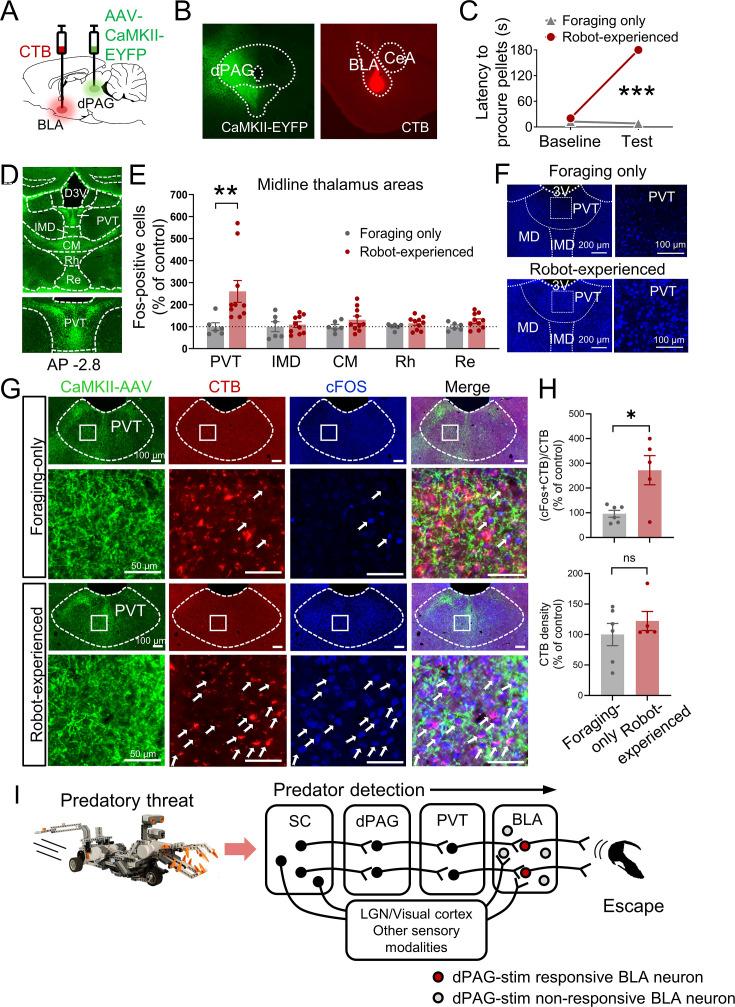 https://cdn.ncbi.nlm.nih.gov/pmc/blobs/72f3/11318971/a383b35c5d3f/elife-88733-fig4.jpg