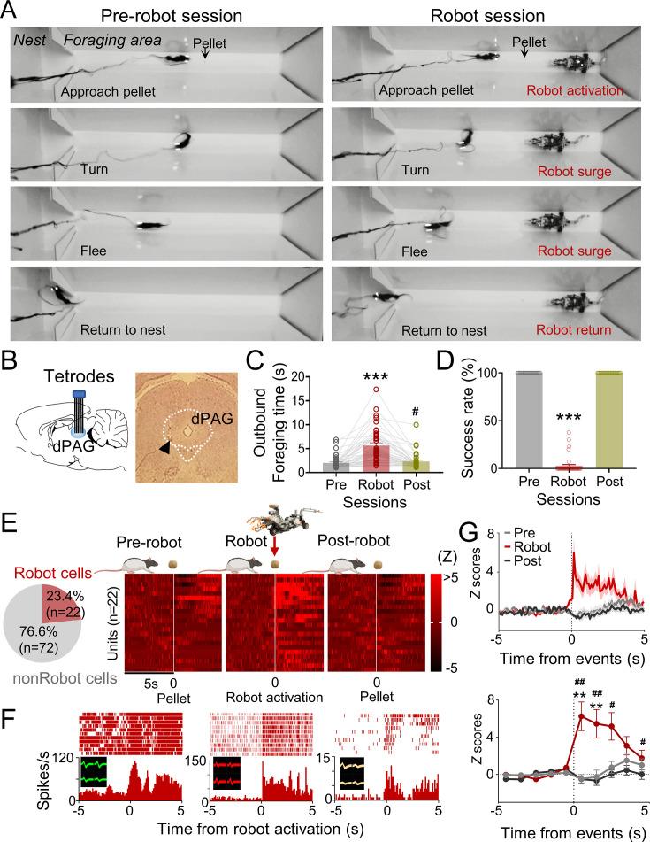 https://cdn.ncbi.nlm.nih.gov/pmc/blobs/72f3/11318971/c13f48c4c781/elife-88733-fig1.jpg