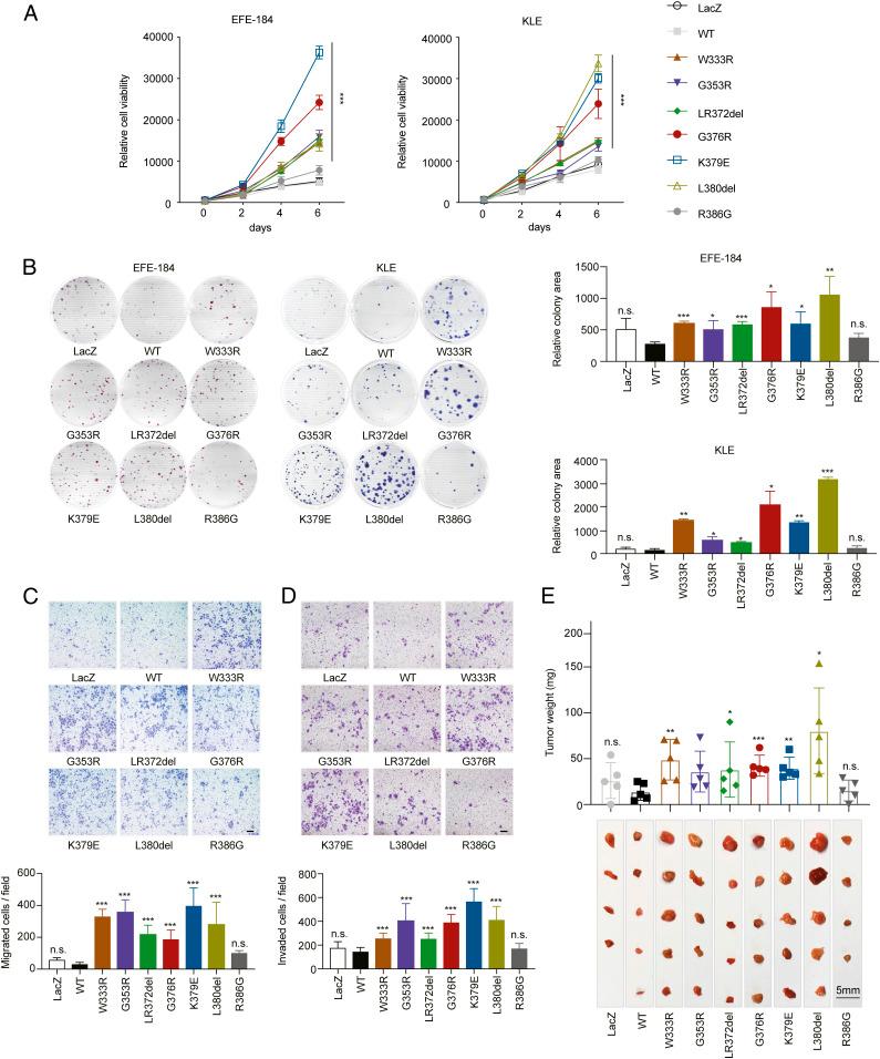 https://cdn.ncbi.nlm.nih.gov/pmc/blobs/72f7/8449365/70f61732feb4/pnas.2101751118fig01.jpg