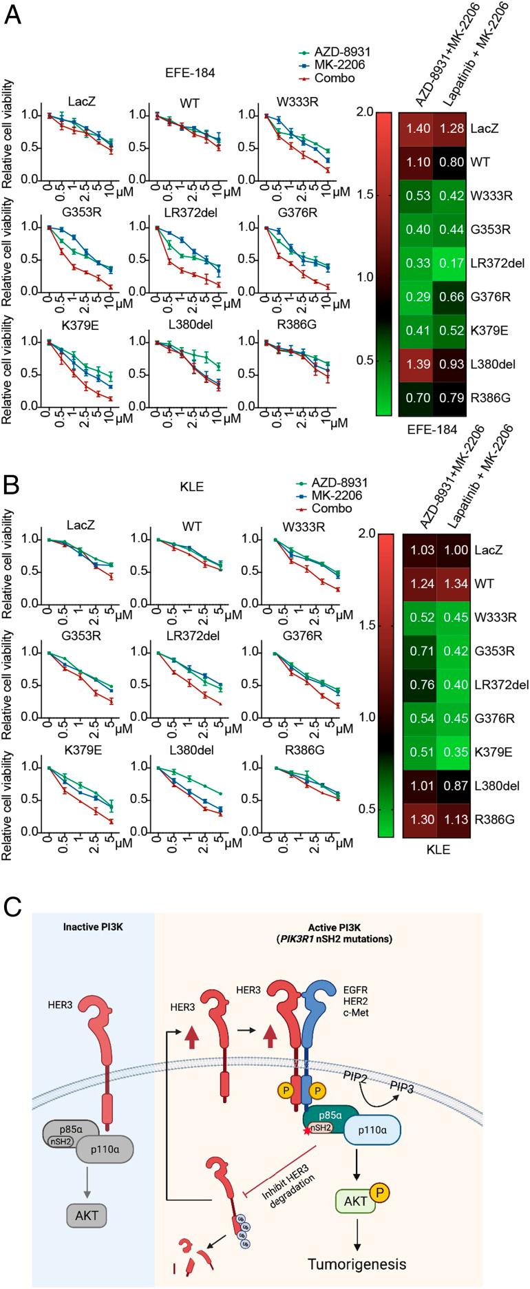 https://cdn.ncbi.nlm.nih.gov/pmc/blobs/72f7/8449365/f1b0baf75847/pnas.2101751118fig07.jpg