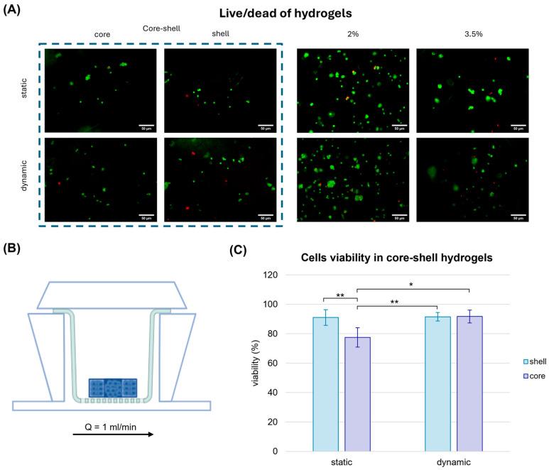 https://cdn.ncbi.nlm.nih.gov/pmc/blobs/72fa/12111581/29a2e994a261/gels-11-00356-g005.jpg
