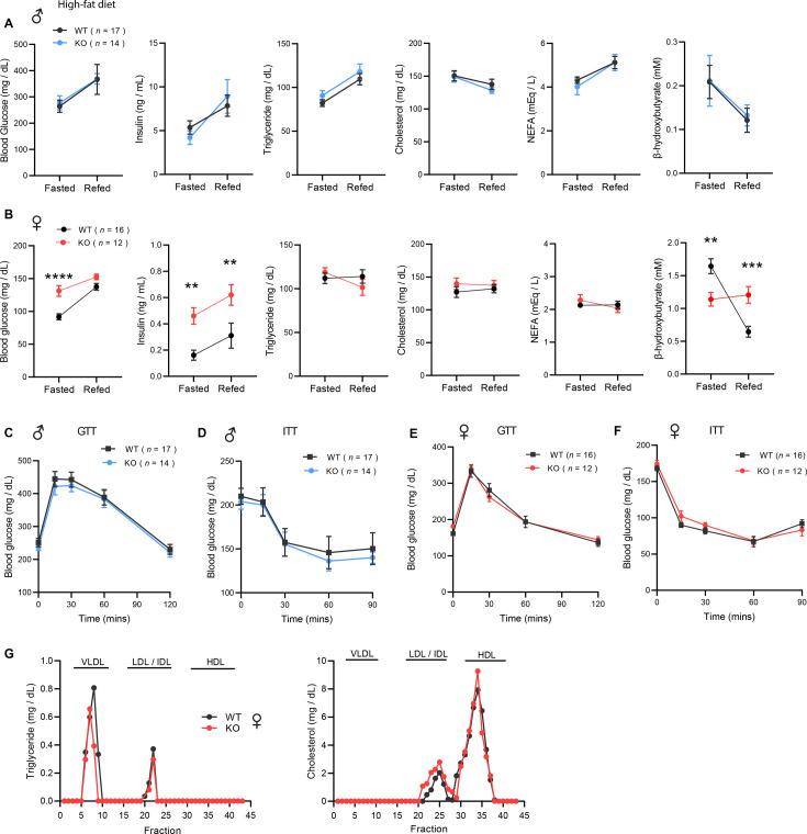 https://cdn.ncbi.nlm.nih.gov/pmc/blobs/7307/11932693/90ebebd875c4/elife-93373-fig6.jpg