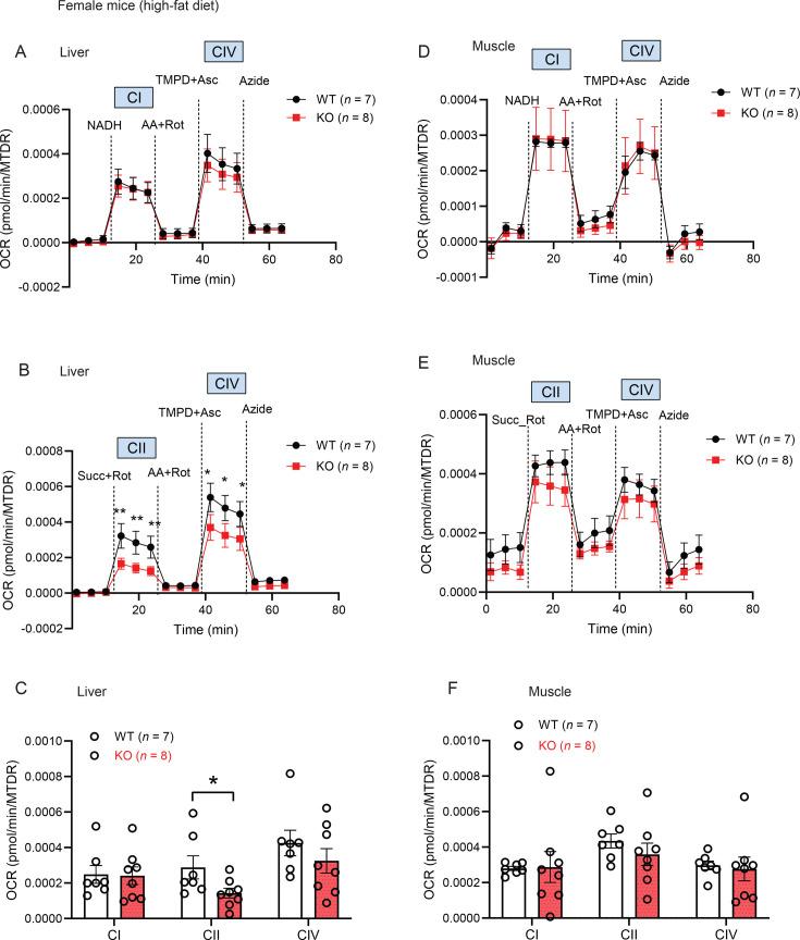 https://cdn.ncbi.nlm.nih.gov/pmc/blobs/7307/11932693/fb19141fc061/elife-93373-fig5-figsupp3.jpg