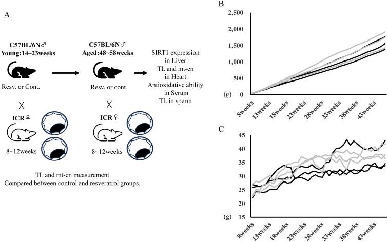 https://cdn.ncbi.nlm.nih.gov/pmc/blobs/7308/11310382/c8a9094304b6/jrd-70-247-g001.jpg